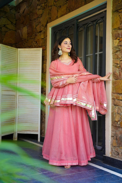 Elegant Tabby Organza Sharara Set